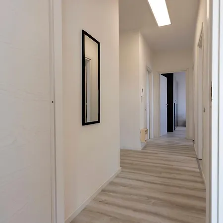 Mountain View 诺瓦拉